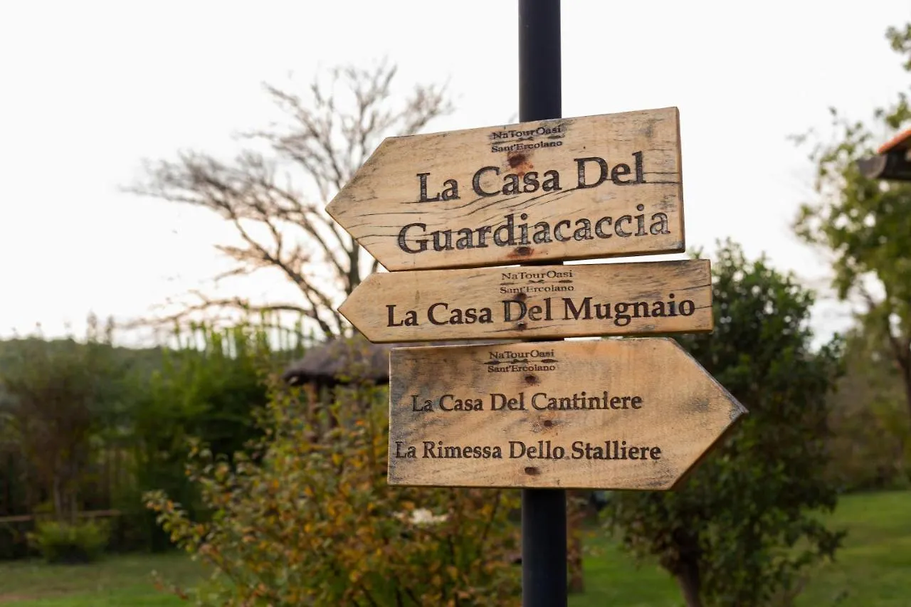 NaTourOasi agriturismo Affittacamere Monte San Savino Casa di campagna